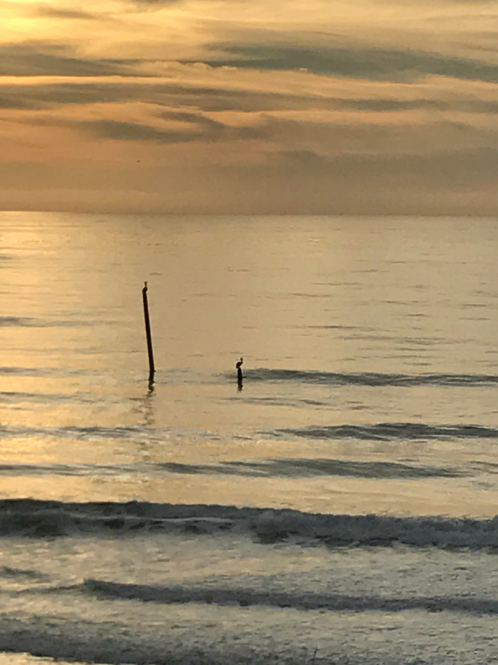 Pole Position - Near public beach access #12
