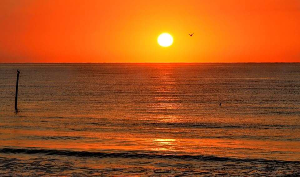 Vacation Sunrise