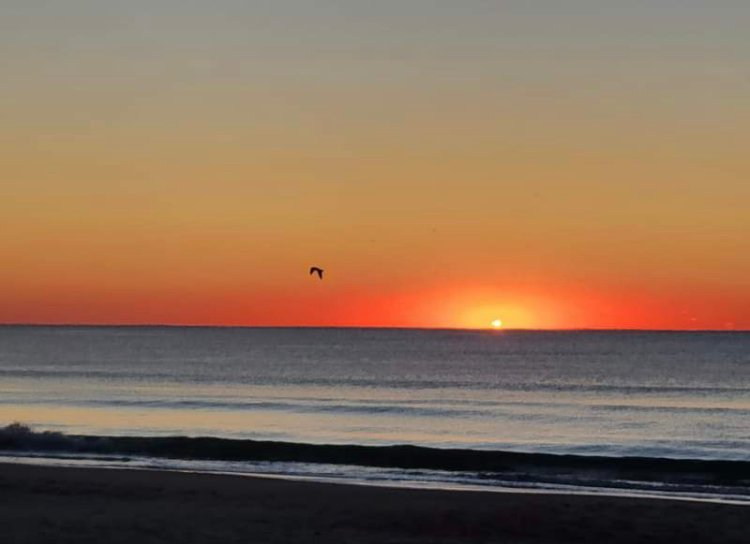 Vacation Sunrise